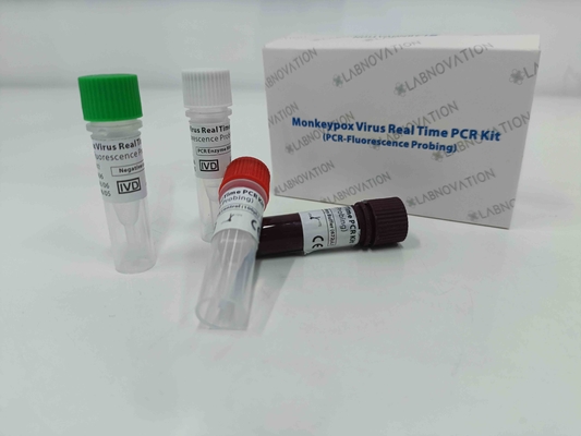 Monkeypox Virüsü PCR Hızlı Test Kiti İnsan Serumu Lezyonu Eksüda Örnekleri İçin Gerçek Zamanlı