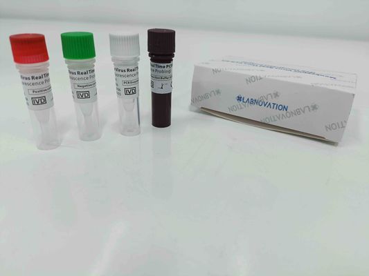 Kalite  Real Time Monkeypox PCR Test Kit With Positive / Negative Control Fabrika