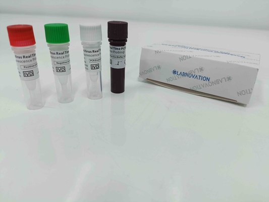 Pozitif / Negatif Kontrollü Gerçek Zamanlı Monkeypox PCR Test Kiti