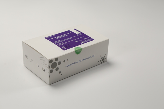 Erken Tedavi için Labnovation 20 Test Influenza AB Test Kiti