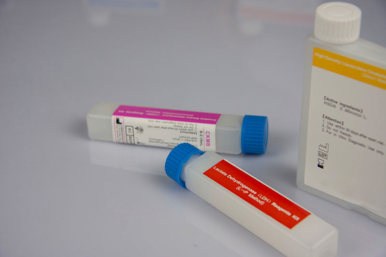 Coulter Stks Maxm Hmx Hematoloji Reaktifi %99 Saflık